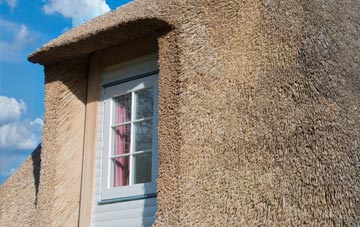 Southmarsh thatch roof disadvantages